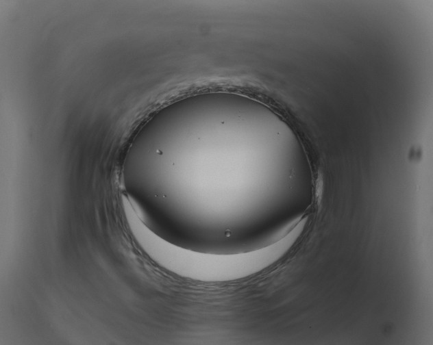 X0000110711492200906261419