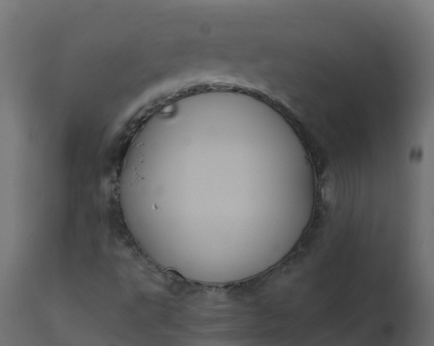 X0000110711495200906261419