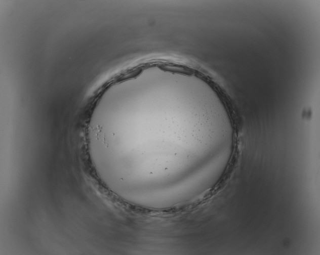 X0000110711496200906261419