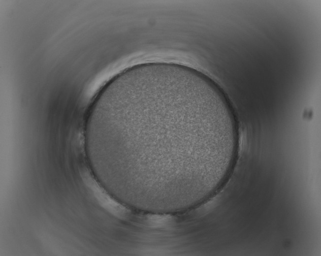 X0000110711498200906261419