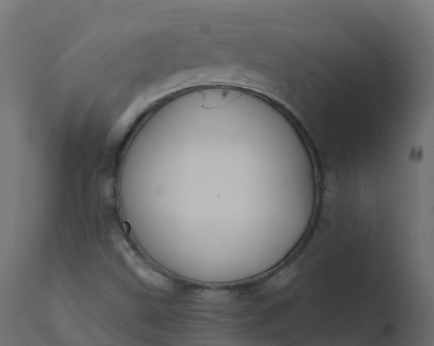 X0000110711499200906261419