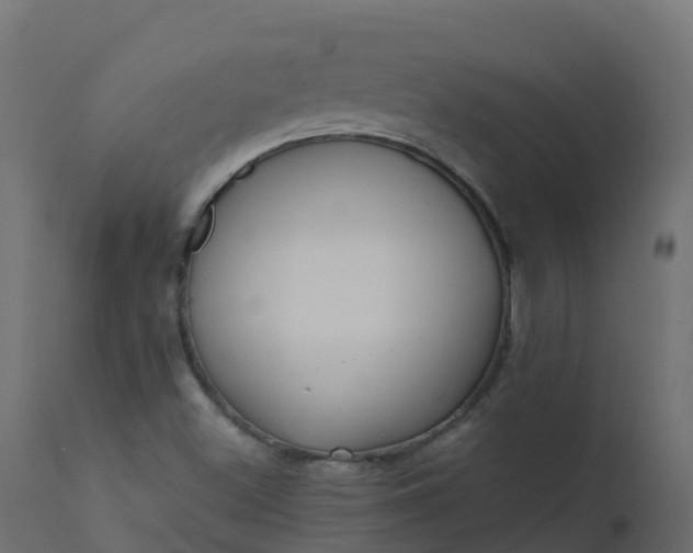 X0000110711500200906261419