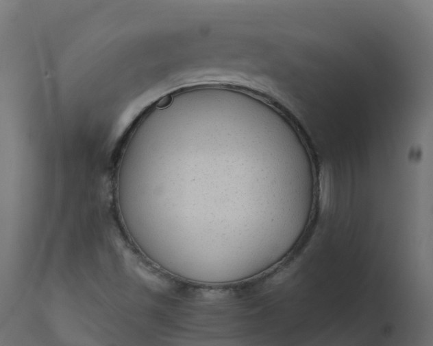X0000110711501200906261419