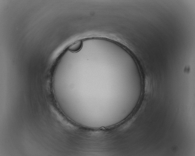 X0000110711502200906261419
