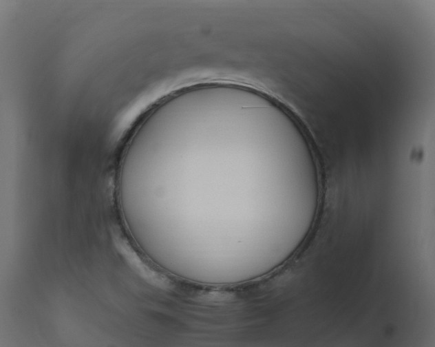 X0000110711503200906261419