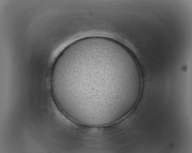X0000110711504200906261419