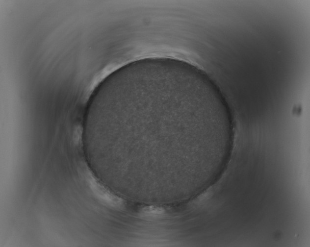 X0000110711505200906261419