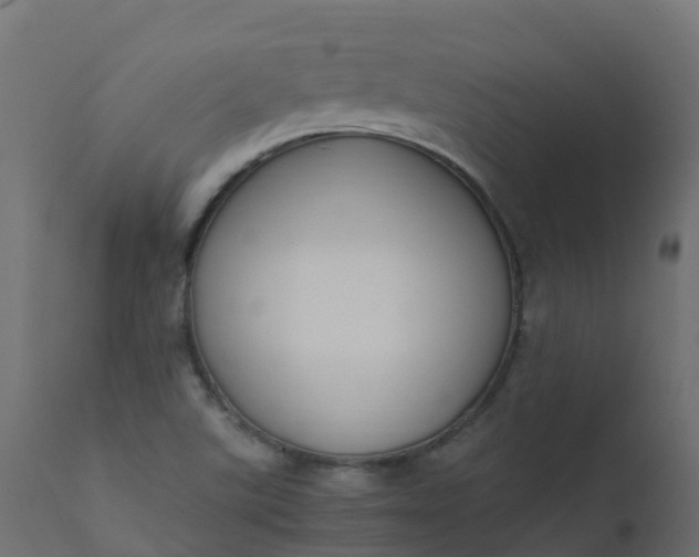 X0000110711507200906261419