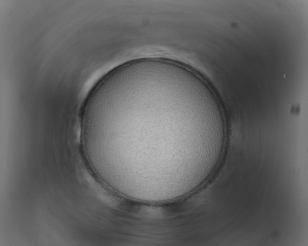 X0000110711509200906261419