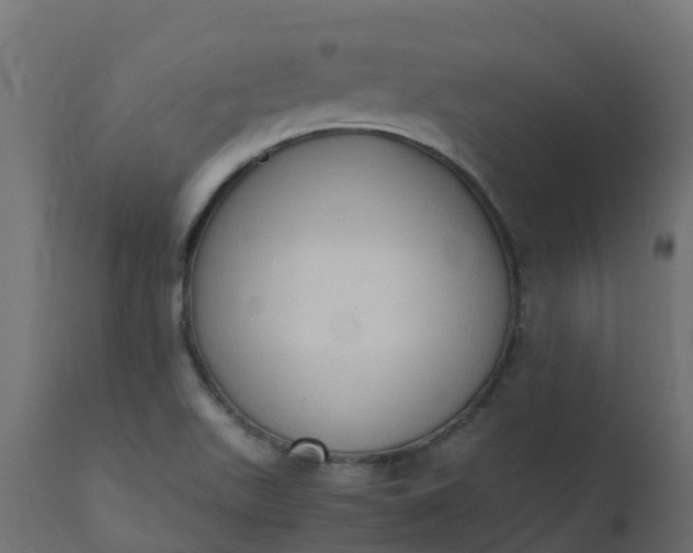 X0000110711511200906261419