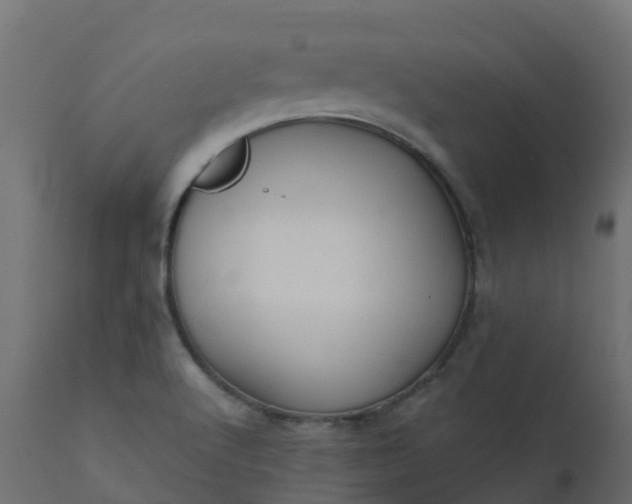 X0000110711512200906261419
