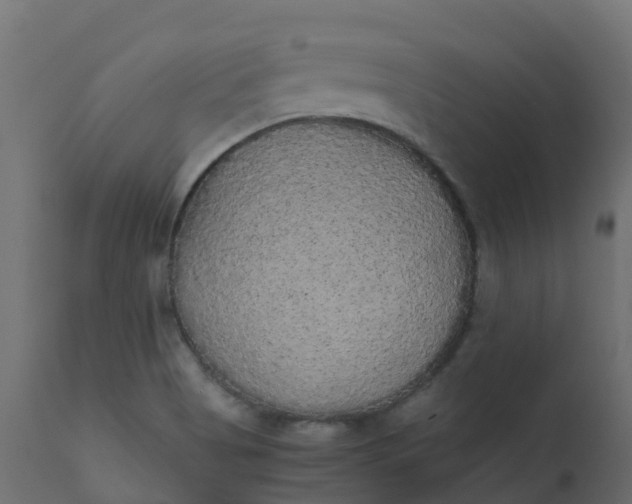 X0000110711513200906261419