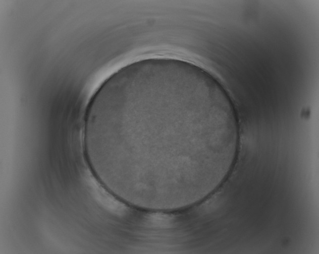 X0000110711514200906261419