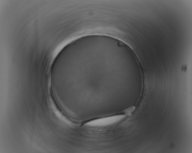 X0000110711515200906261419