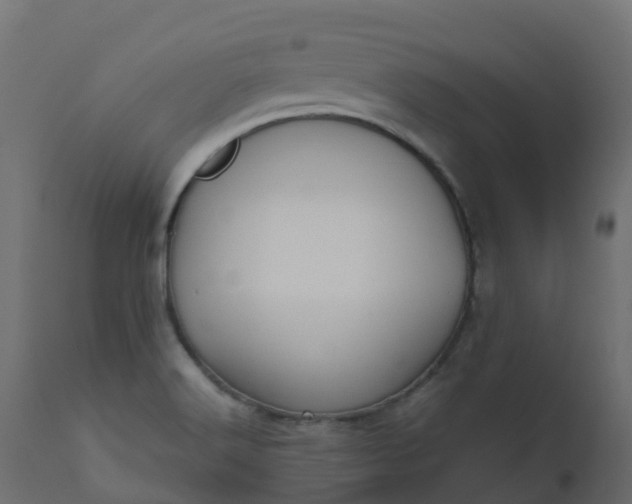 X0000110711516200906261419