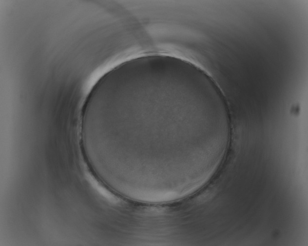 X0000110711519200906261419
