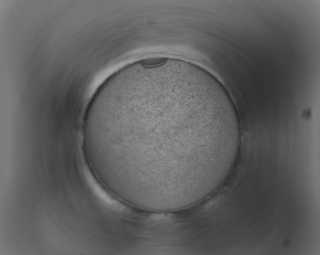 X0000110711523200906261419