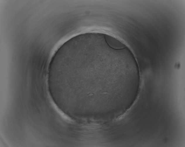 X0000110711525200906261419