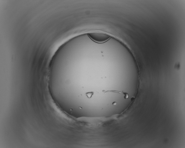 X0000110711526200906261419