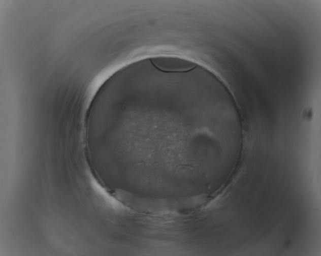 X0000110711527200906261419