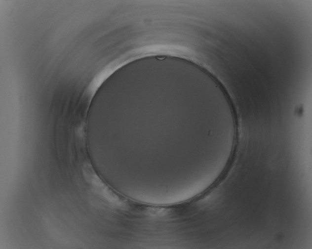 X0000110711529200906261419