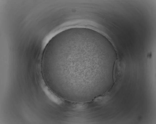 X0000110711530200906261419
