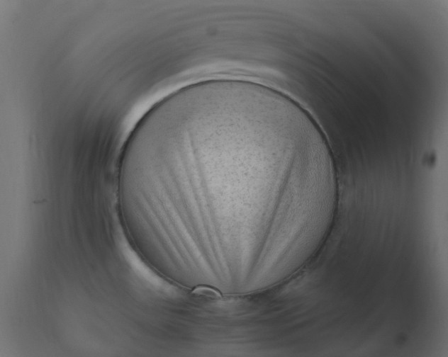X0000110711531200906261419