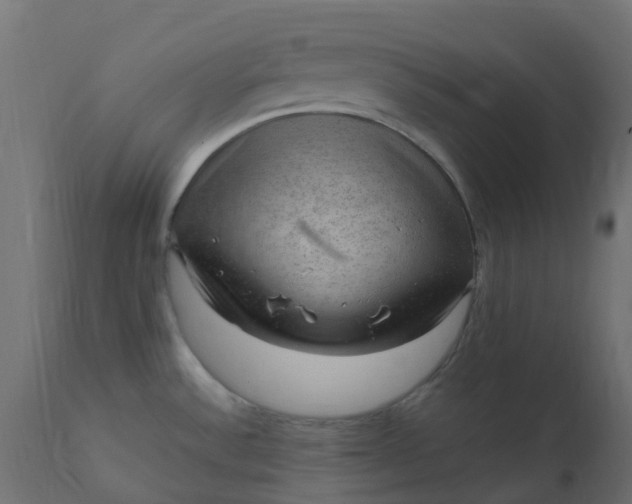 X0000110711532200906261419