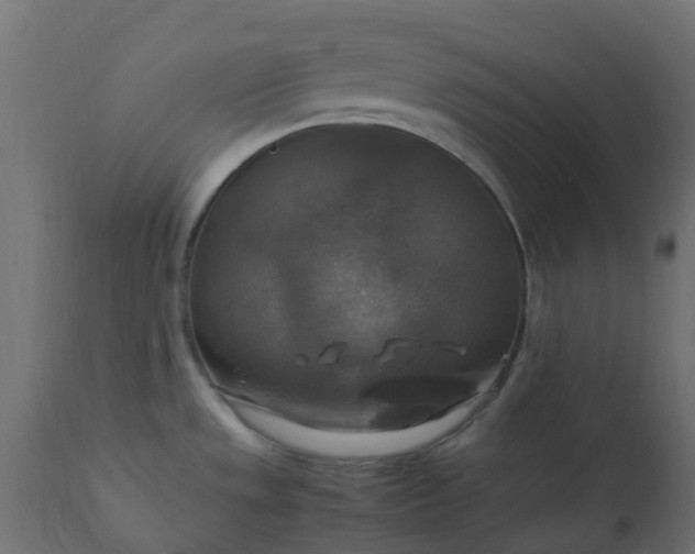 X0000110711533200906261419
