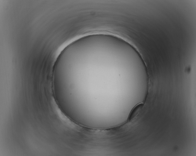 X0000110711534200906261419