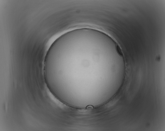X0000110711535200906261419