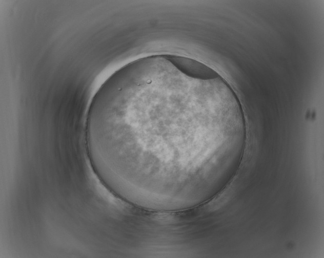X0000110711536200906261419