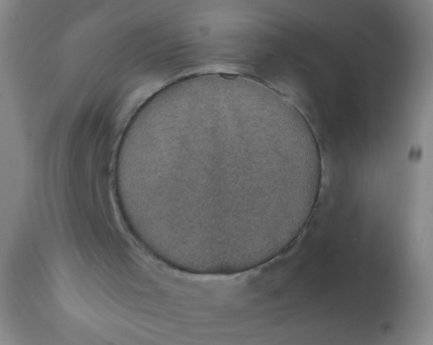 X0000110710001200907022034