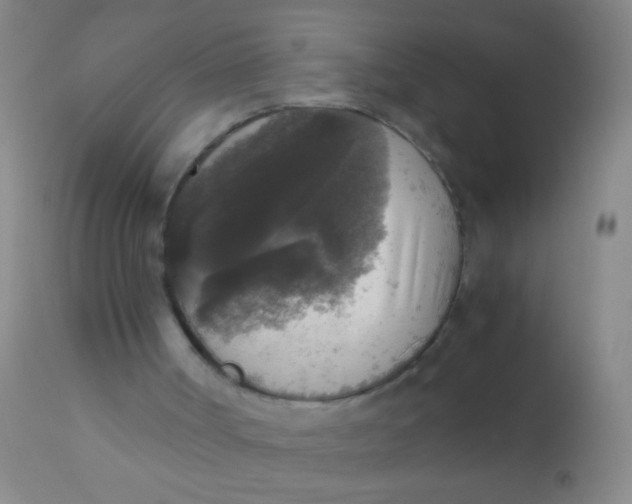 X0000110710002200907022034