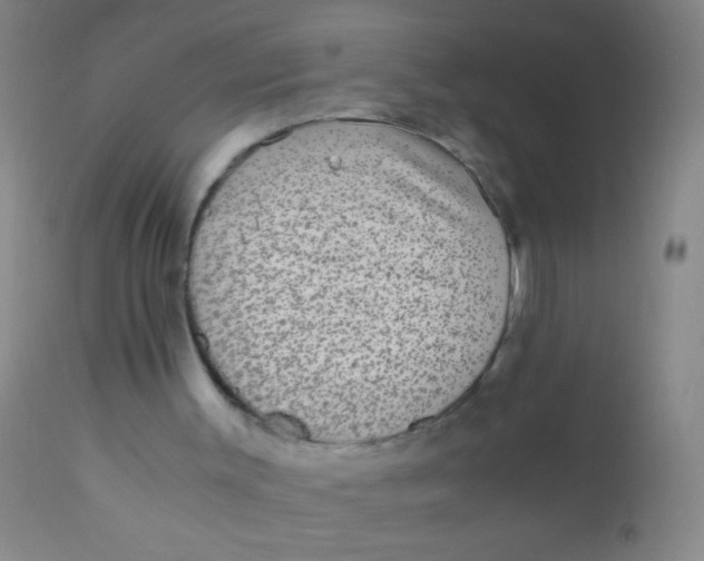 X0000110710003200907022034