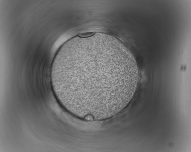 X0000110710004200907022034