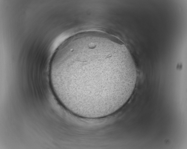 X0000110710006200907022034