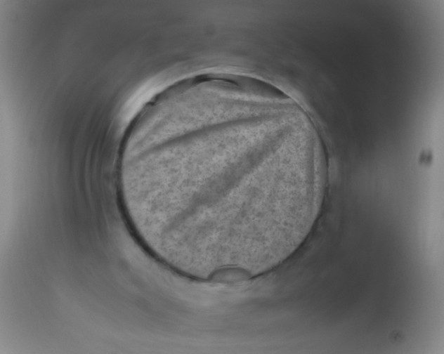 X0000110710007200907022034