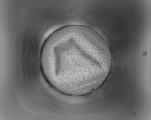 X0000110710008200907022034