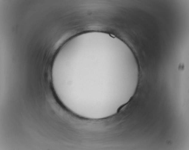 X0000110710011200907022034