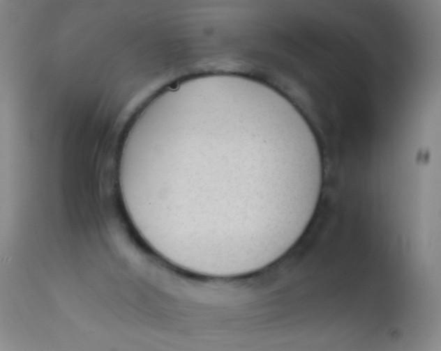 X0000110710012200907022034