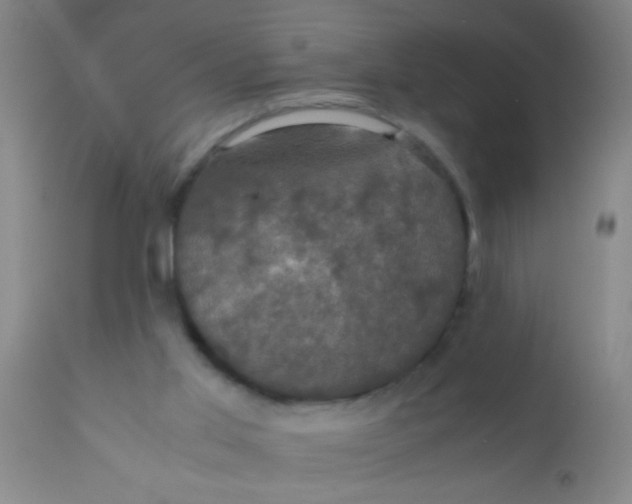 X0000110710013200907022034