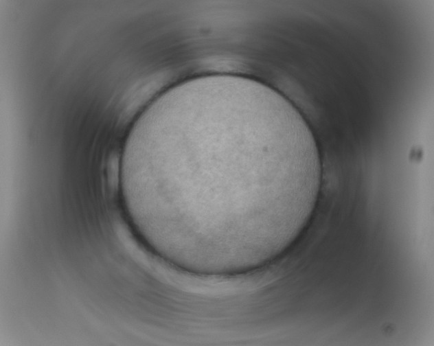 X0000110710014200907022034