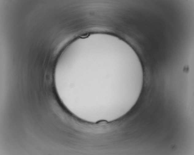 X0000110710015200907022034