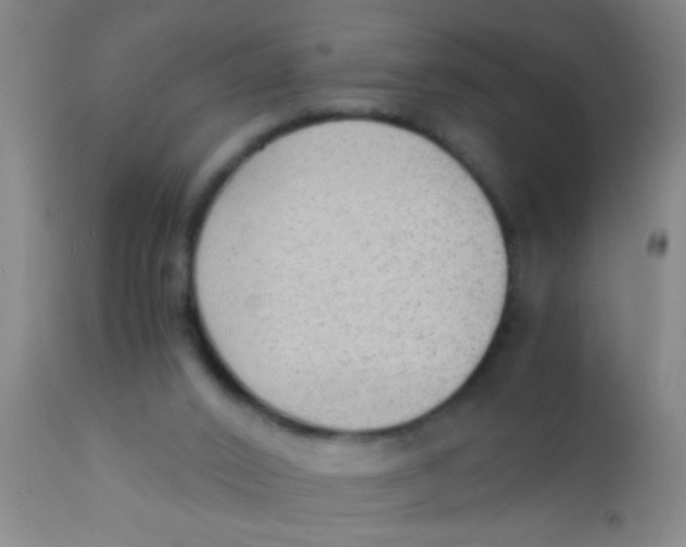 X0000110710016200907022034