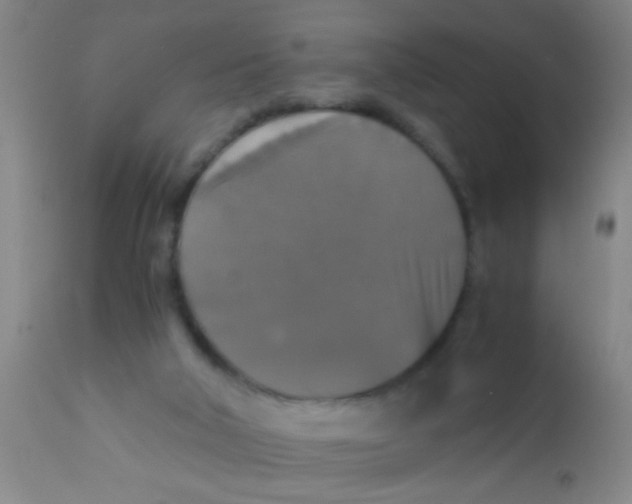 X0000110710018200907022034