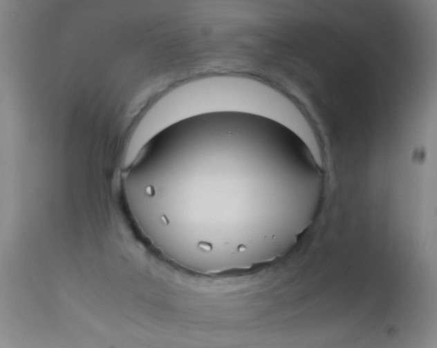 X0000110710019200907022034