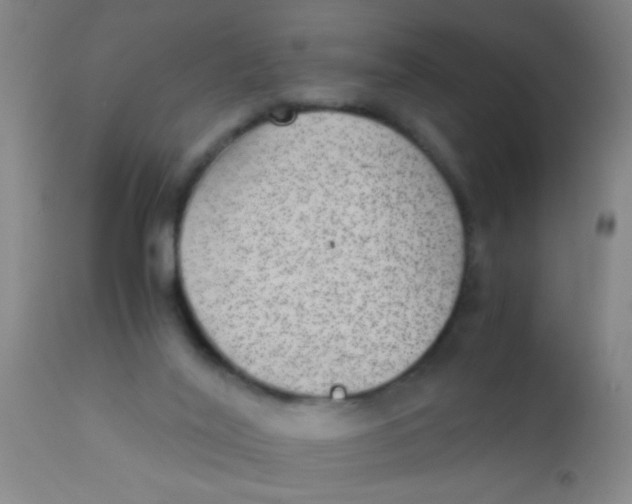 X0000110710020200907022034