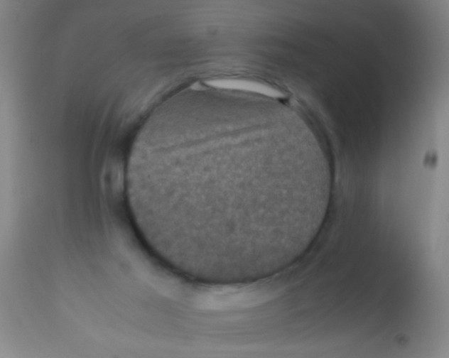 X0000110710021200907022034