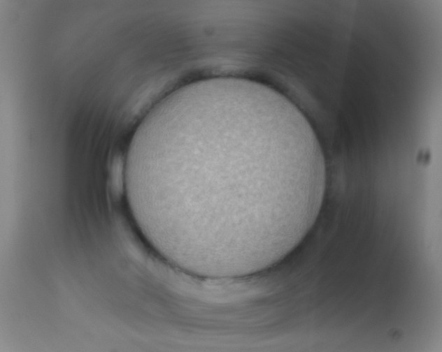 X0000110710022200907022034